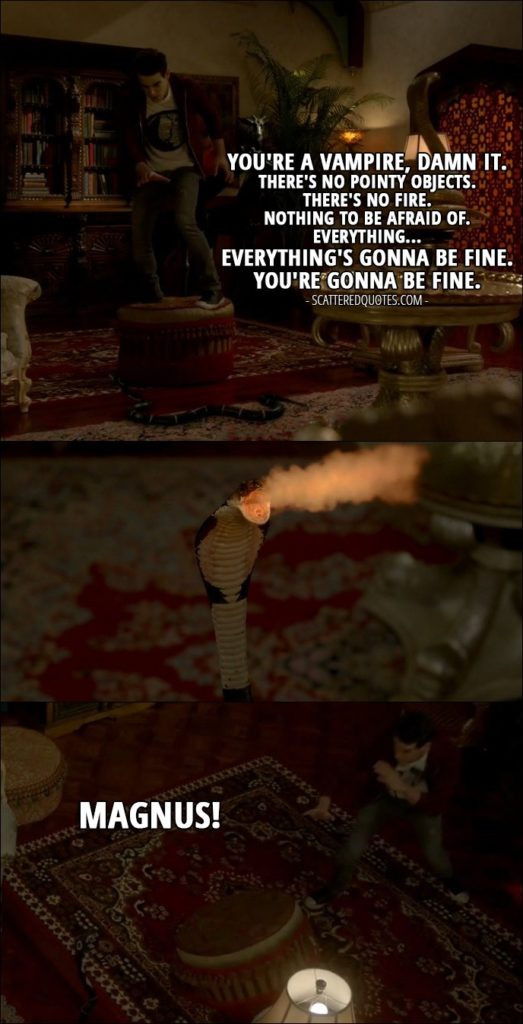 Shadowhunters Quote from 'A Door Into the Dark' (2x02) - Simon Lewis (to himself): You're a vampire, damn it. There's no pointy objects. There's no fire. Nothing to be afraid of. Everything... everything's gonna be fine. You're gonna be fine. (snake breaths fire) Magnus!