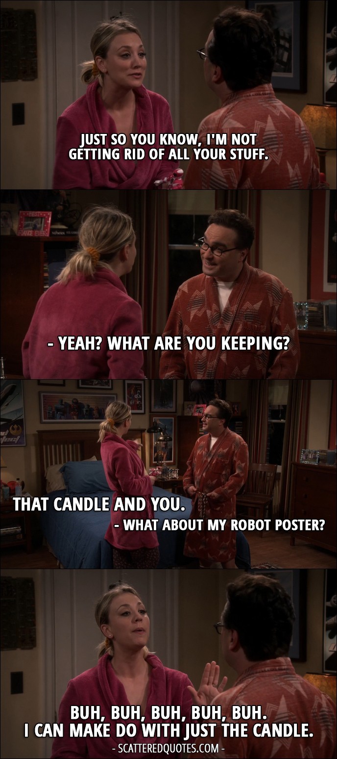 18 Best The Big Bang Theory Quotes from 'The Veracity Elasticity ...