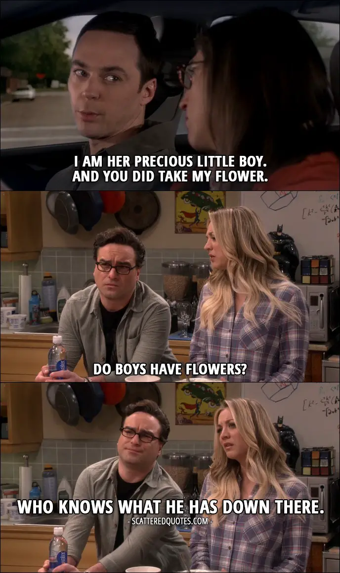 15 Best The Big Bang Theory Quotes from 'The Holiday Summation' (10x12
