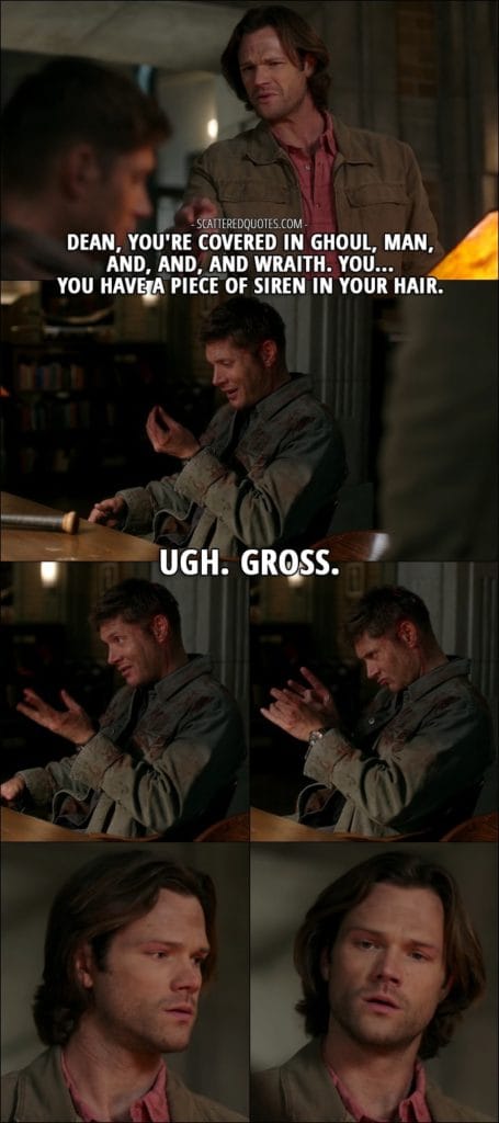 18 Best Supernatural Quotes from 'Somewhere Between Heaven and Hell' (12x15) - Sam Winchester: Dean, you're covered in ghoul, man, and, and, and wraith. You... you have a piece of siren in your hair. Dean Winchester: Ugh. Gross. (flicks the piece away)