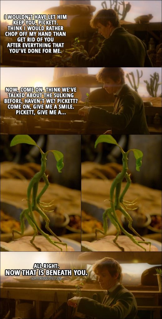 Quotes from Fantastic Beasts and Where to Find Them (2016) - Newt Scamander (to Pickett): I think we need to talk. I wouldn't have let him keep you, Pickett. Think I would rather chop off my hand than get rid of you after everything that you've done for me. Now, come on. Think we've talked about the sulking before, haven't we? Pickett? Come on, give me a smile. Pickett, give me a... (Pickett sticks his tongue out) All right. Now that is beneath you.