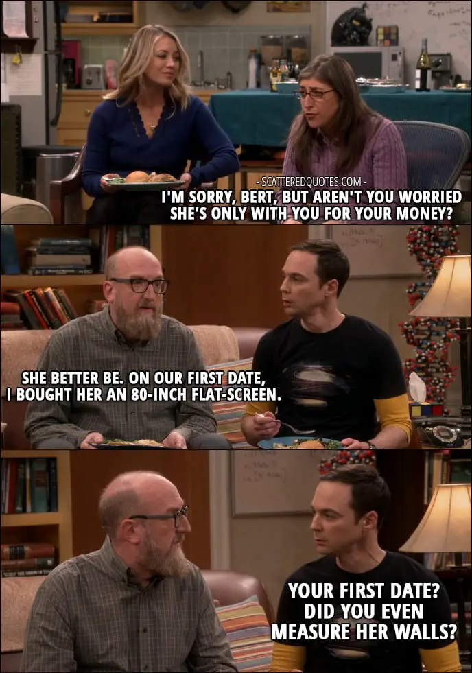 13 Best The Big Bang Theory Quotes from 'The Separation Agitation