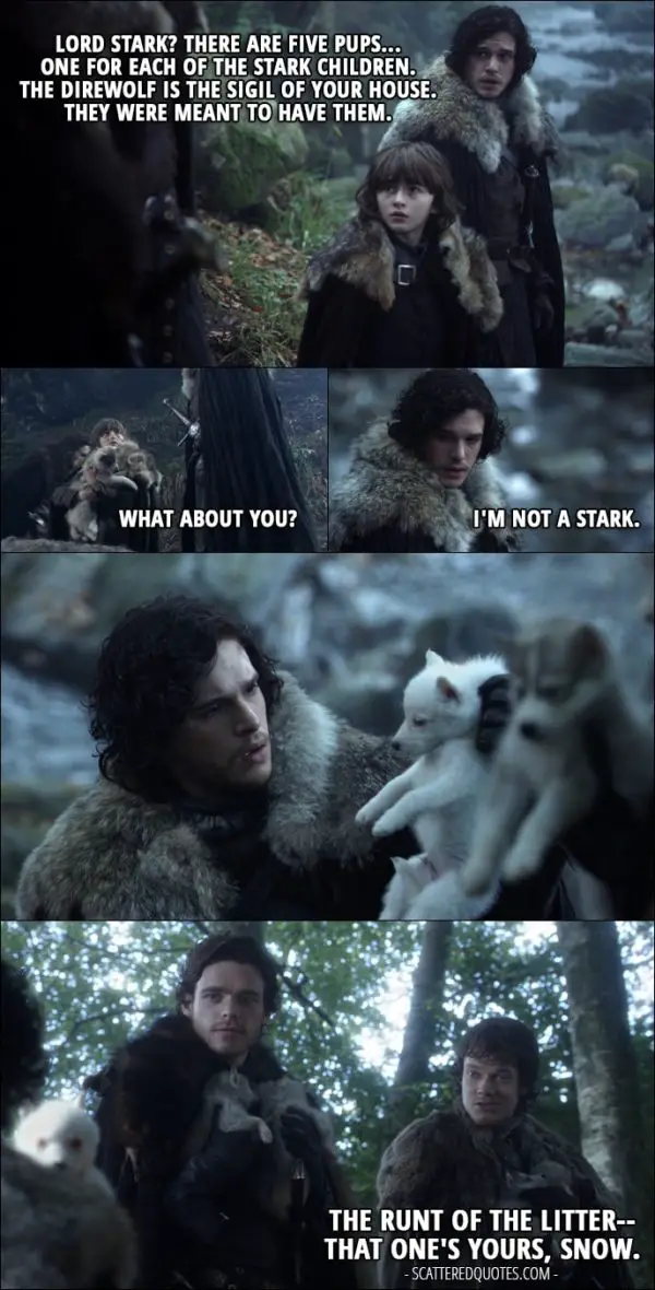 Quote from Game of Thrones 1x01 - Jon Snow (to Ned): Lord Stark? There are five pups... one for each of the Stark children. The direwolf is the sigil of your House. They were meant to have them. Bran Stark: What about you? Jon Snow: I'm not a Stark. Robb Stark: What is it? (Jon finds another little direwolf - white one) Theon Greyjoy: The runt of the litter-- that one's yours, Snow.