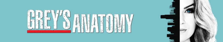 Grey's Anatomy Quotes