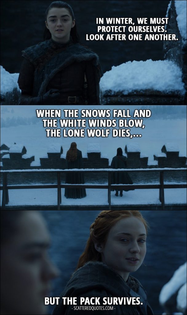 Quote from Game of Thrones 7x07 - Arya Stark: "In winter, we must protect ourselves. Look after one another." Sansa Stark: Father. "When the snows fall and the white winds blow, the lone wolf dies, but the pack survives."