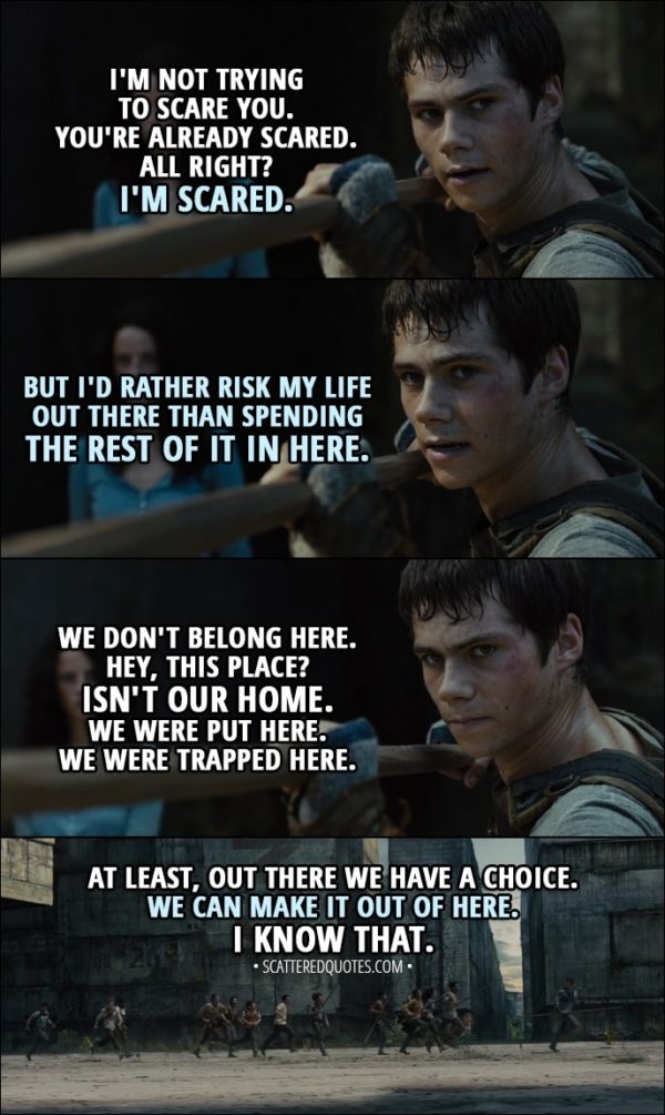 10+ Best 'The Maze Runner (2014)' Quotes Scattered Quotes