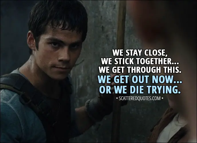 Quote from The Maze Runner (2014) - Thomas: We stay close, we stick together... we get through this. We get out now... or we die trying.