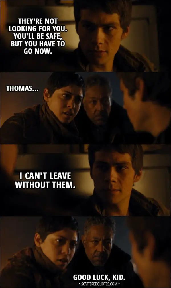 Quote from Maze Runner: The Scorch Trials (2015) - Thomas: They're not looking for you. You'll be safe, but you have to go now. Brenda: Thomas... Thomas: I can't leave without them. Jorge: Good luck, kid.