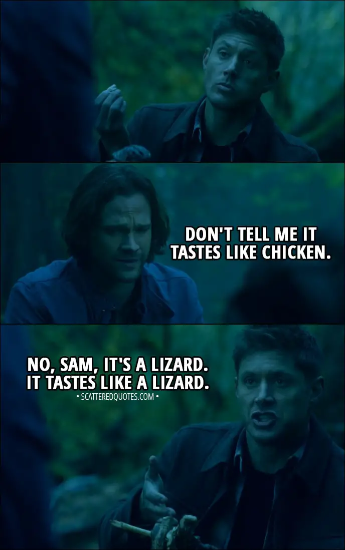 Quote from Supernatural 13x10 - Sam Winchester: Don't tell me it tastes like chicken. Dean Winchester: No, Sam, it's a lizard. It tastes like a lizard.