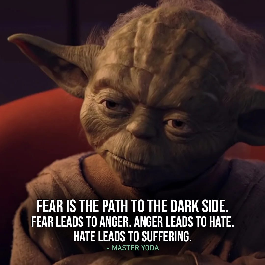 One of the best quotes by Master Yoda from the Star Wars Universe | "Fear is the path to the dark side. Fear leads to anger. Anger leads to hate. Hate leads to suffering. I sense much fear in you." (to Anakin, Star Wars: Episode I - The Phantom Menace)