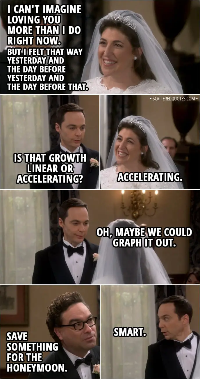 Mix · 10 Best 'The Big Bang Theory' Quotes from 11x24 | Scattered Quotes