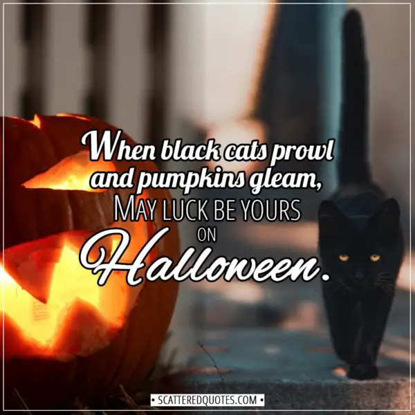 Halloween Quotes - When black cats prowl and pumpkins gleam, may luck be yours on Halloween. - Unknown