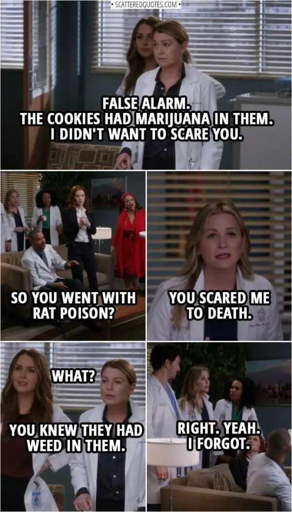 Quote from Grey's Anatomy 14x20 | Meredith Grey: Please raise your hand if you ate any cookies from this tin. Unfortunately, the cookies in this tin were tainted with rat poison. So we need to treat those of you who have ingested them as soon as possible, please. (They get everyone into one room...) Meredith Grey: Okay. False alarm. The cookies had marijuana in them. Catherine Avery: What?! Meredith Grey: Yes. I didn't want to scare you. Jackson Avery: So you went with rat poison? Arizona Robbins: You scared me to death. Jo Wilson: What? Meredith Grey: You knew they had weed in them. Arizona Robbins: Right. Yeah. I-I forgot.