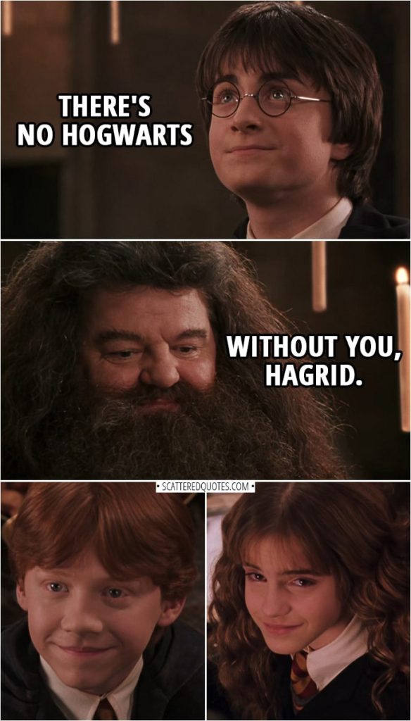 Quotes from Harry Potter and the Chamber of Secrets (2002) | Rubeus Hagrid: Sorry I'm late. The owl that delivered my release papers got all lost and confused. Some ruddy bird called Errol. And I'd just like to say that if it hadn't been for you, Harry, and Ron... and Hermione, of course... I would still be you-know-where... so I'd just like to say thanks. Harry Potter: There's no Hogwarts without you, Hagrid.