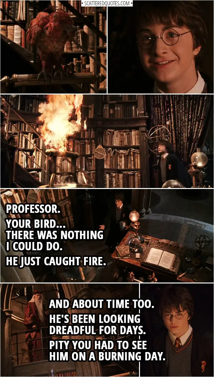 Quotes from Harry Potter and the Chamber of Secrets (2002) | Harry Potter: Professor. Your bird... There was nothing I could do. He just caught fire. Albus Dumbledore: And about time too. He's been looking dreadful for days. Pity you had to see him on a burning day. Fawkes is a phoenix, Harry. They burst into flame when it is time for them to die... and then they are... reborn from the ashes. Fascinating creatures, phoenixes. They can carry immensely heavy loads. Their tears have healing powers.