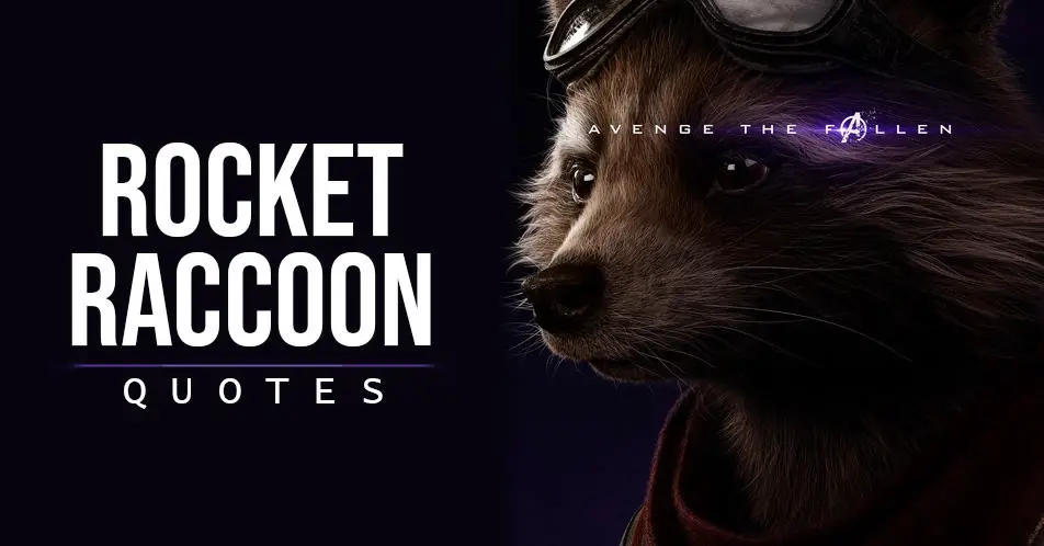 Rocket Raccoon Manipulative