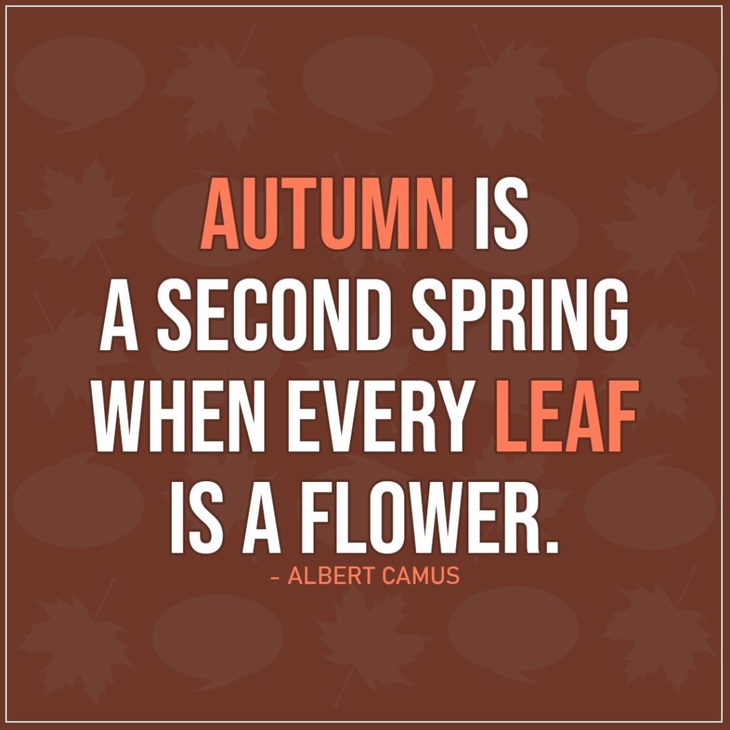 21.9.2019 Autumn is a second spring when…