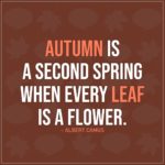 Quote about Fall | Autumn is a second spring when every leaf is a flower. - Albert Camus