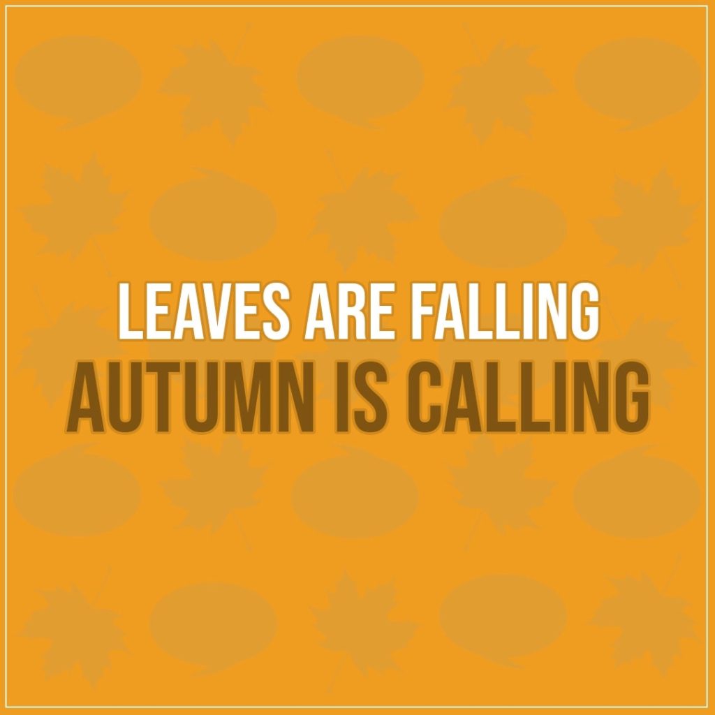 Quote about Fall | Leaves are falling Autumn is calling - Unknown