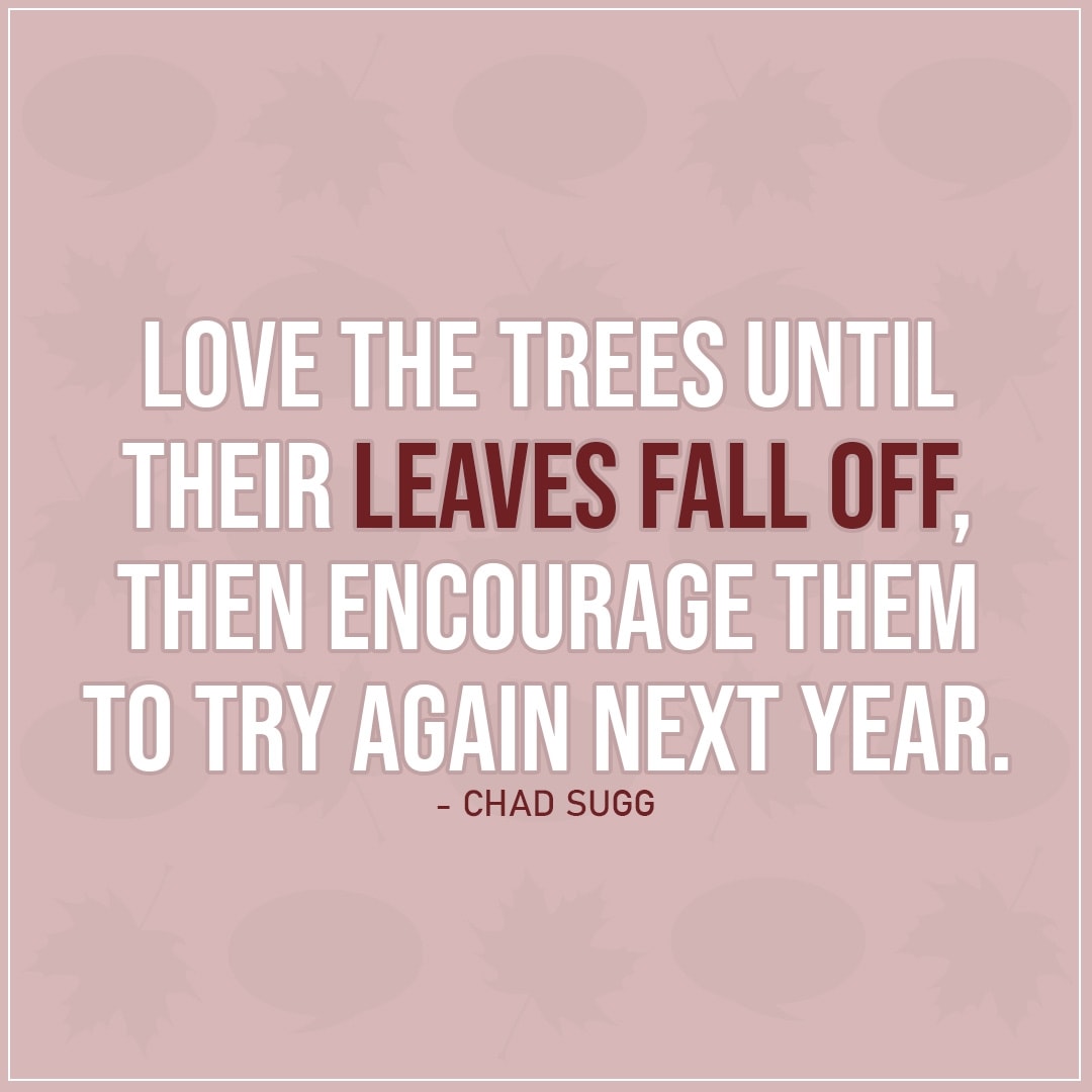 Quote about Fall | Love the trees until their leaves fall off, then encourage them to try again next year. - Chad Sugg