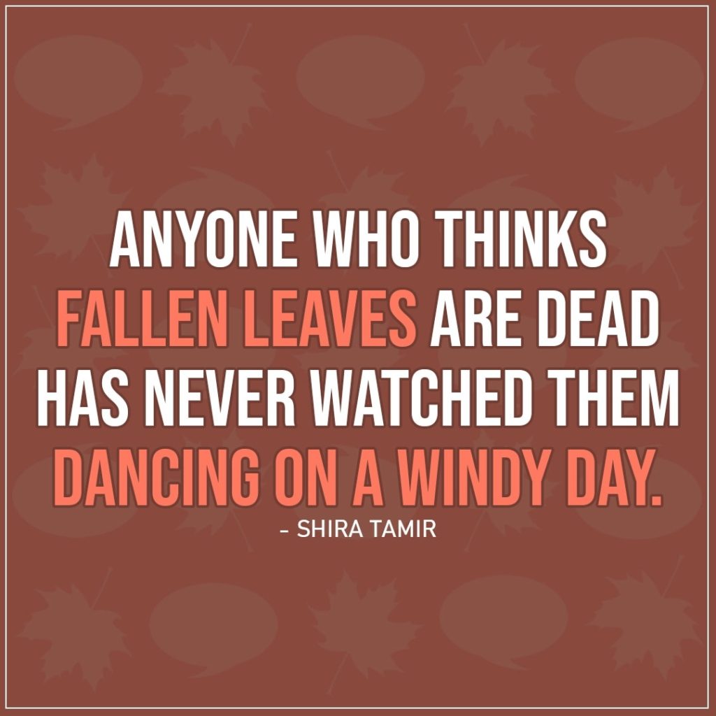 Quote about Fall | Anyone who thinks fallen leaves are dead has never watched them dancing on a windy day. - Shira Tamir