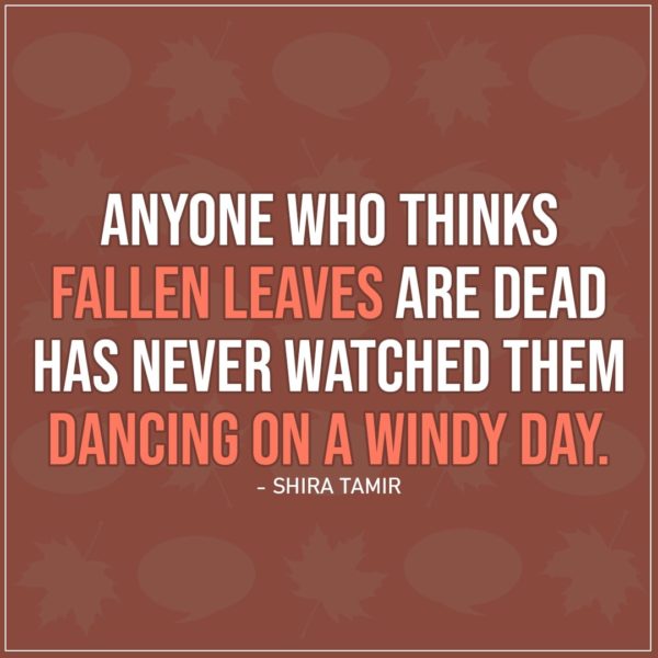 Quote about Fall | Anyone who thinks fallen leaves are dead has never watched them dancing on a windy day. - Shira Tamir