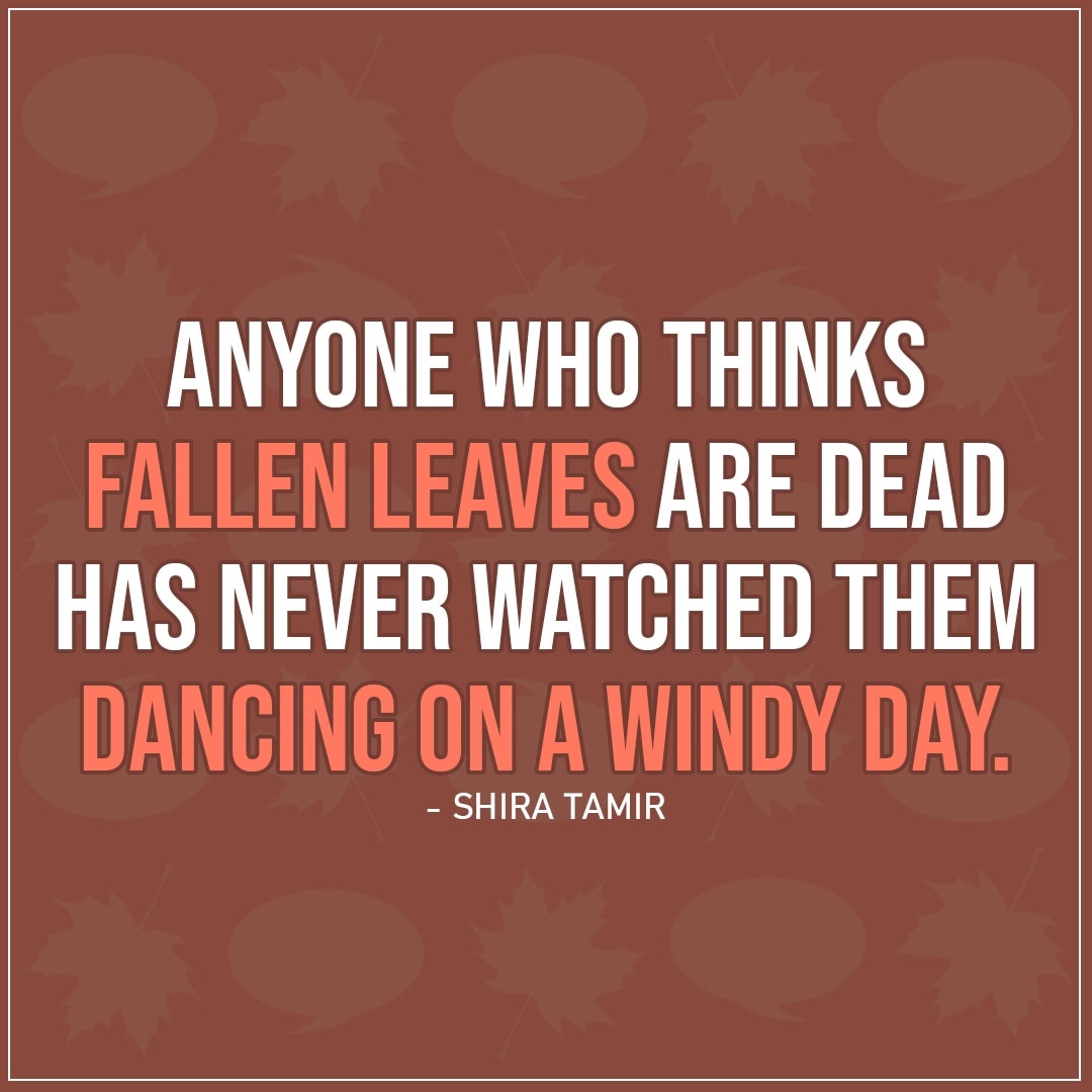 Quote about Fall | Anyone who thinks fallen leaves are dead has never watched them dancing on a windy day. - Shira Tamir
