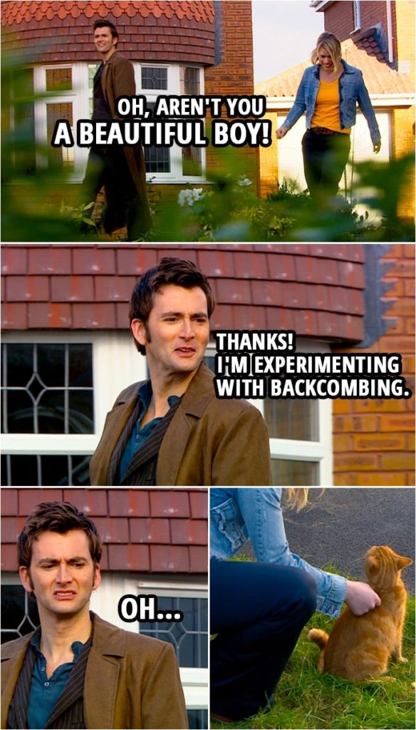 Quote from Doctor Who 2x11 | Rose Tyler: Oh, aren't you a beautiful boy! Doctor: Thanks! I'm experimenting with backcombing. Oh... (Rose goes to pet a cat...)