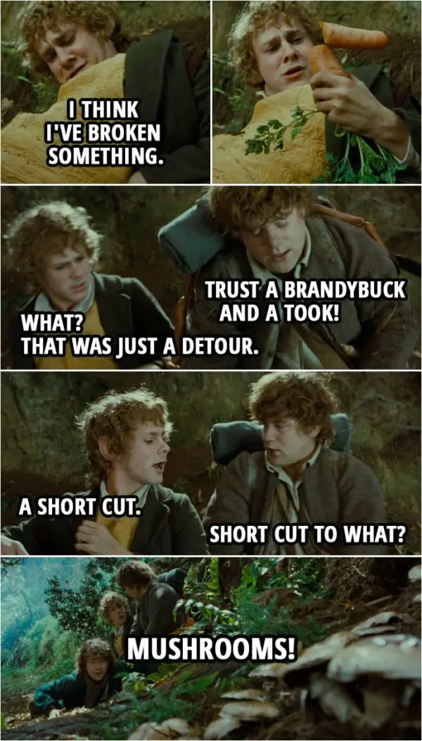 Quote from The Lord of the Rings: The Fellowship of the Ring (2001) | Merry: I think I've broken something. Sam: Trust a Brandybuck and a Took! Merry: What? That was just a detour. A short cut. Sam: Short cut to what? Pippin: Mushrooms!