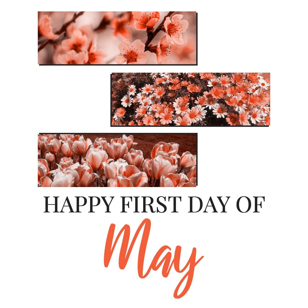 Month of May Quotes: Happy first day of May. (Orange aesthetic quote image)