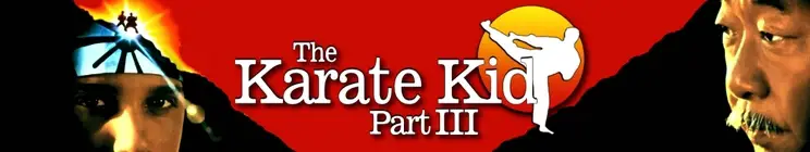 The Karate Kid Part III Quotes