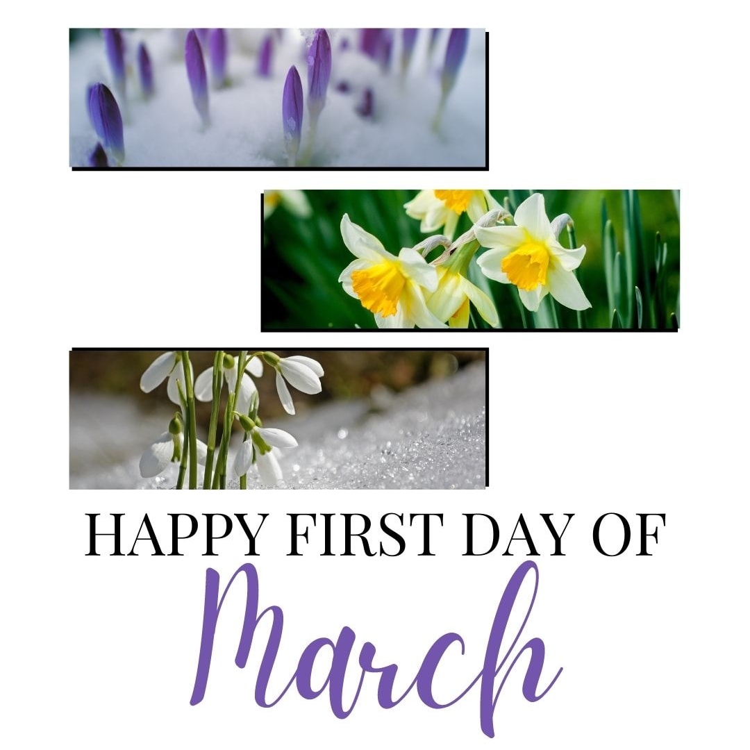 Month of March Quotes: Happy first day of March.