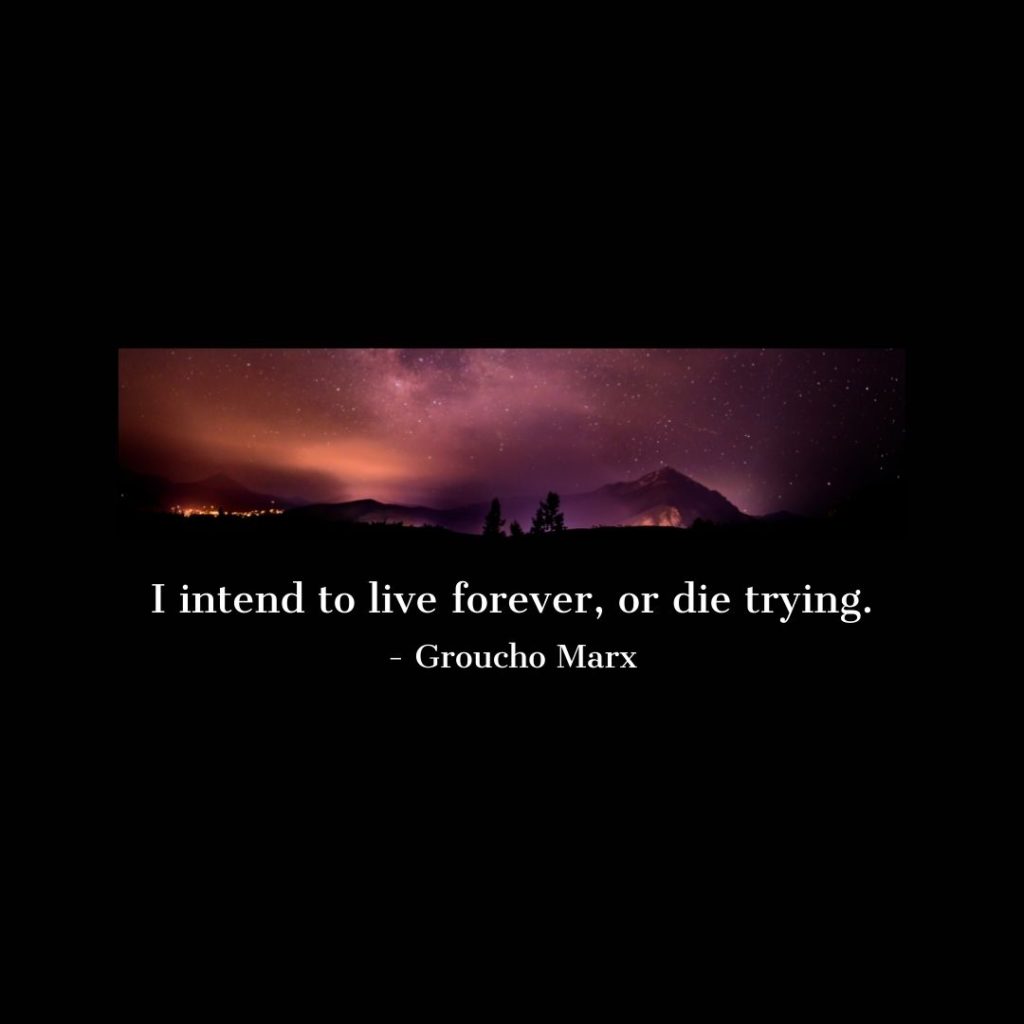 Quote about Death | I intend to live forever, or die trying. - Groucho Marx