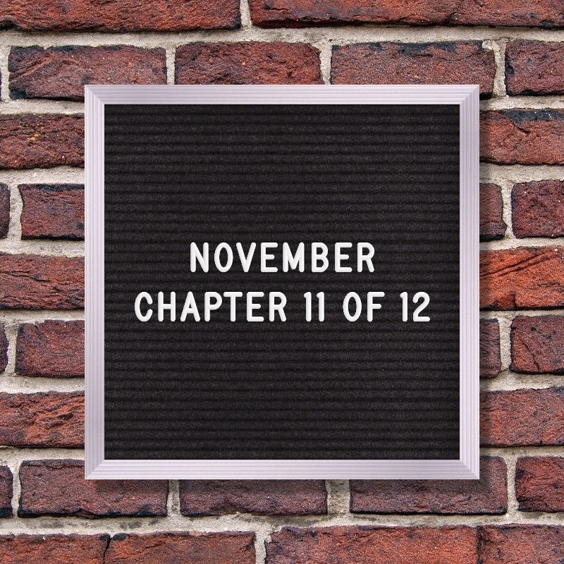 November - Chapter 11 of 12