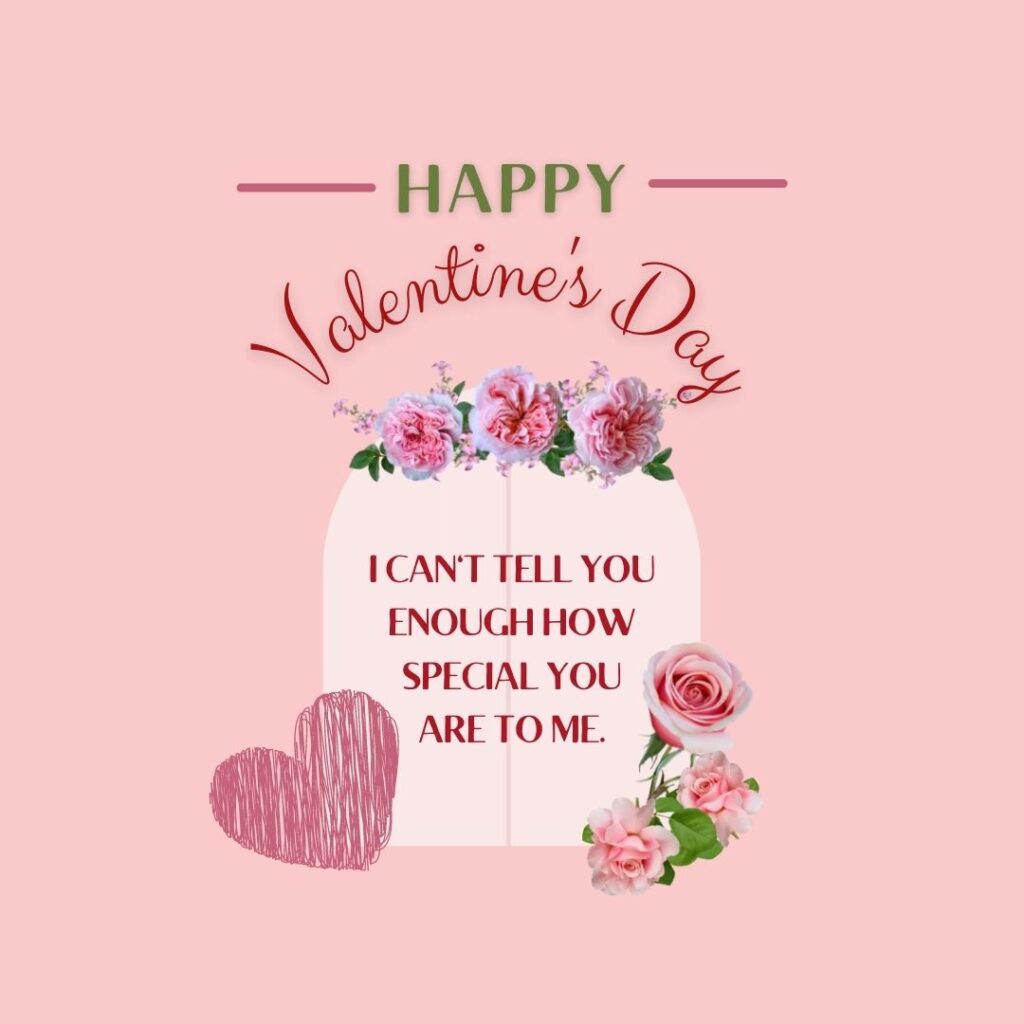 Valentine's Day Quotes | Happy Valentine's Day! I can't tell you enough how special you are to me.