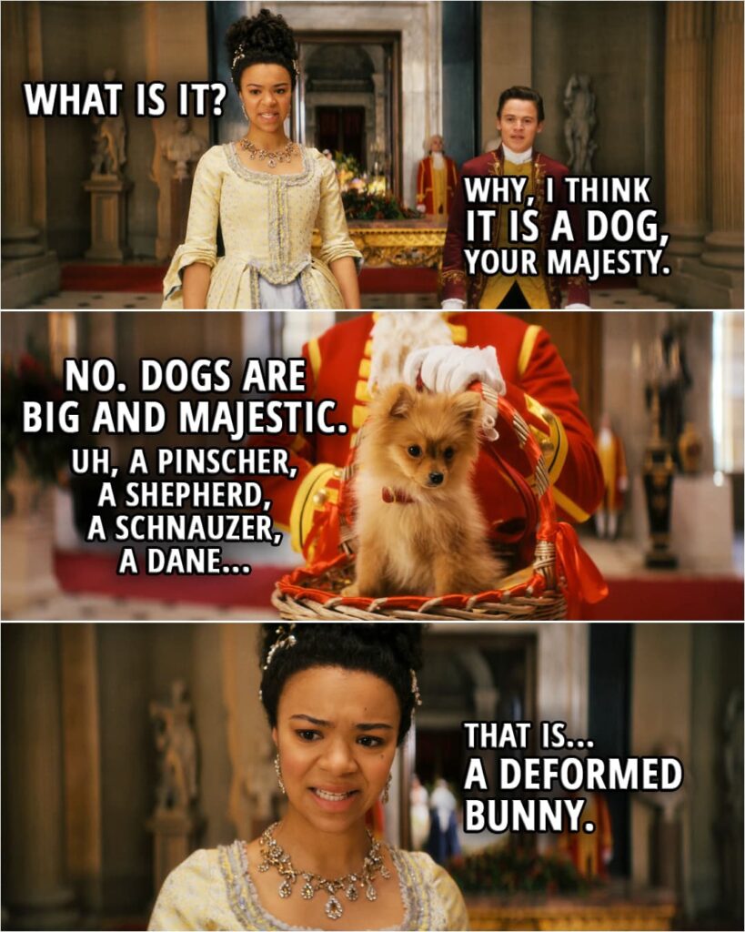 Quote from Queen Charlotte: A Bridgerton Story 1x02 | (George sends Charlotte a pomeranian as a gift...) Queen Charlotte: What is it? Brimsley: Why, I think it is a dog, Your Majesty. Queen Charlotte: No. Dogs are big and majestic. Uh, a Pinscher, a shepherd, a schnauzer, a Dane. That is... a deformed bunny.