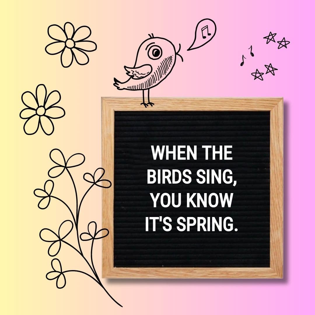 Spring Letter Board Quotes: "When the birds sing, you know it's spring."
