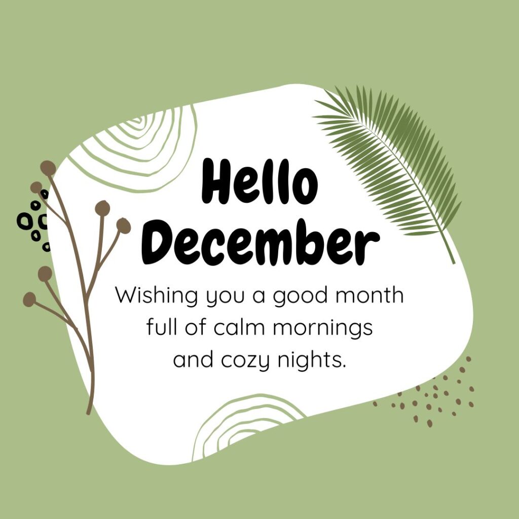 Hello December! Wishing you a good month full of calm mornings and cozy nights.