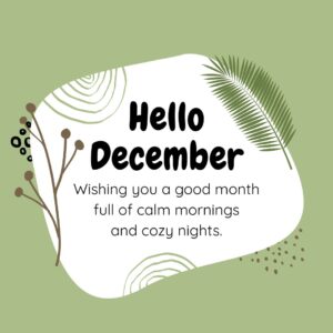 Hello December! Wishing you a good month full of calm mornings and cozy nights.