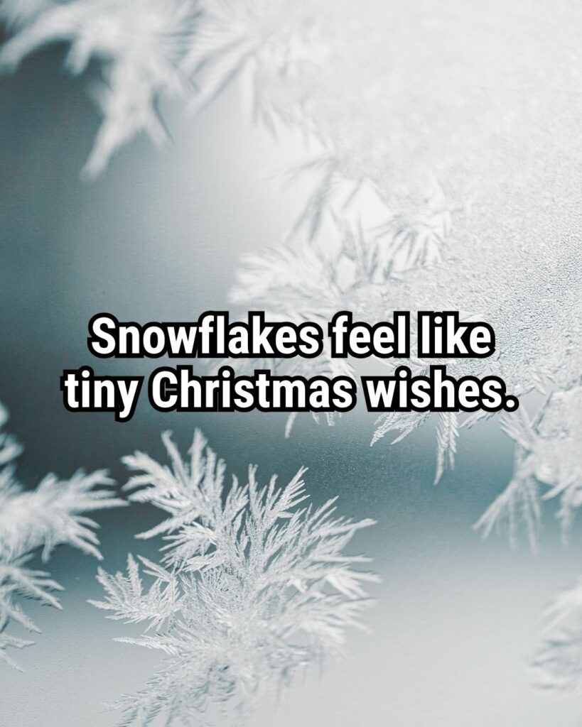Relatable Christmas Quote: "Snowflakes feel like tiny Christmas wishes."