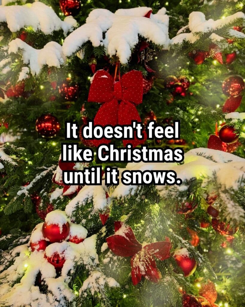 Relatable Christmas Quote: "It doesn't feel like Christmas until it snows."
