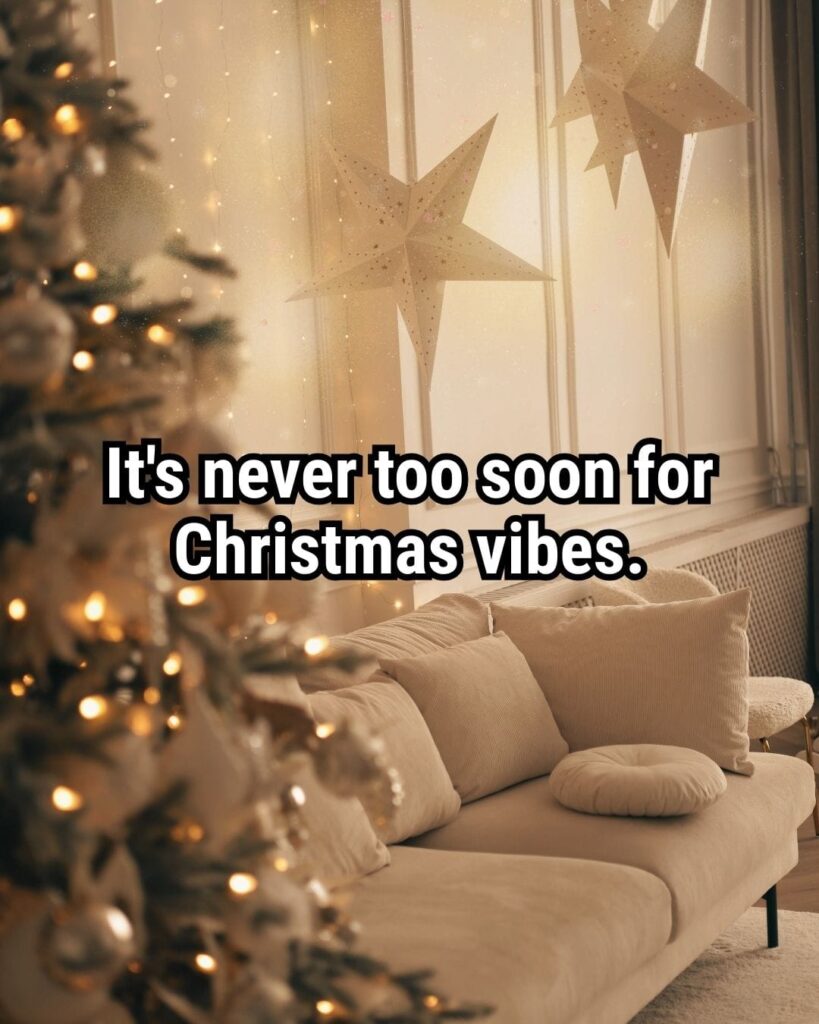 Relatable Christmas Quote: "It's never too soon for Christmas vibes."