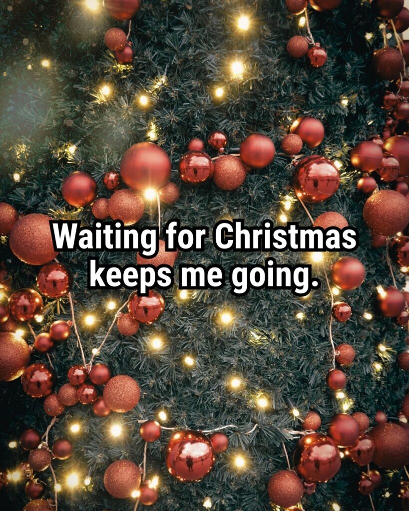 Relatable Christmas Quote: "Waiting for Christmas keeps me going."