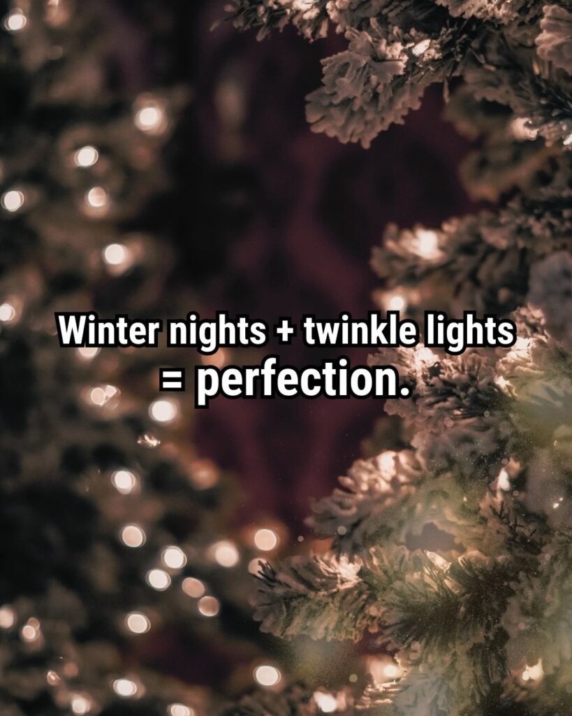 Relatable Christmas Quote: "Winter nights + twinkle lights = perfection."
