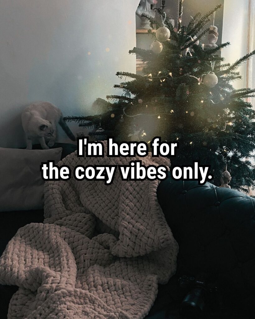 Relatable Christmas Quote: "I'm here for the cozy vibes only."