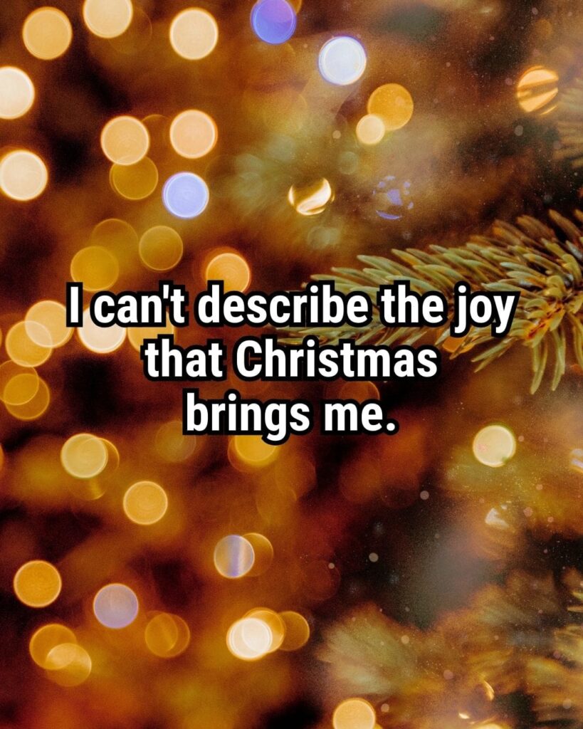 Relatable Christmas Quote: "I can't describe the joy that Christmas brings me."