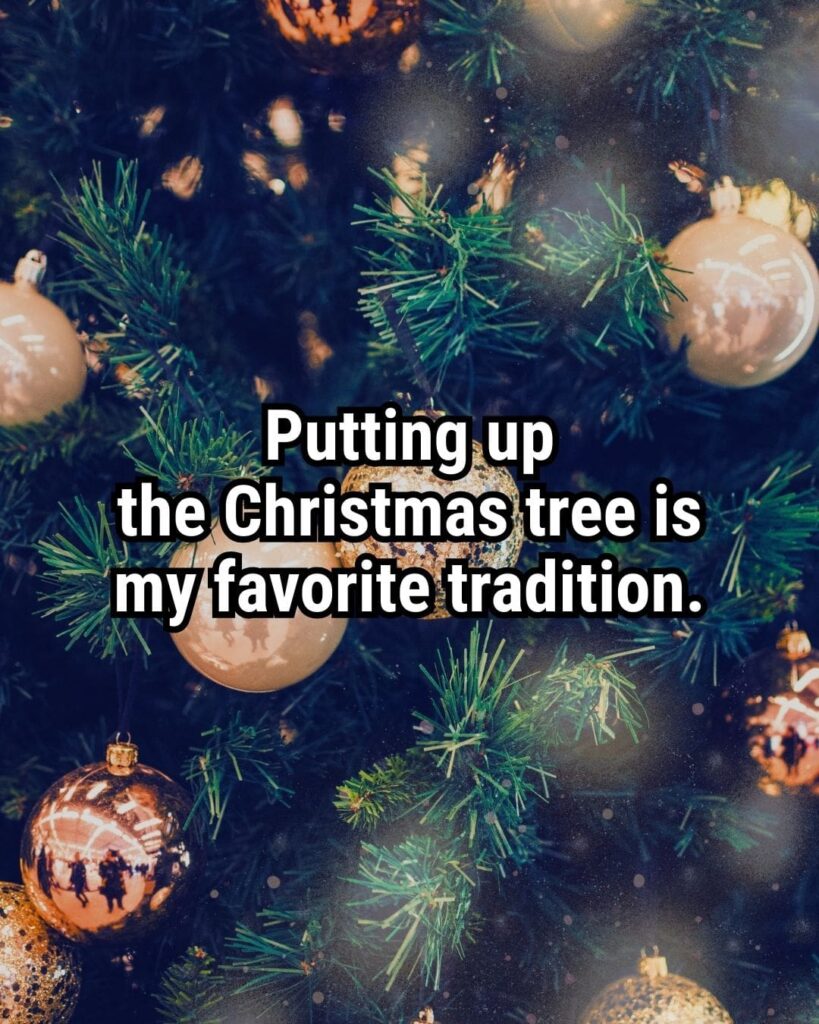 Relatable Christmas Quote: "Putting up the Christmas tree is my favorite tradition."