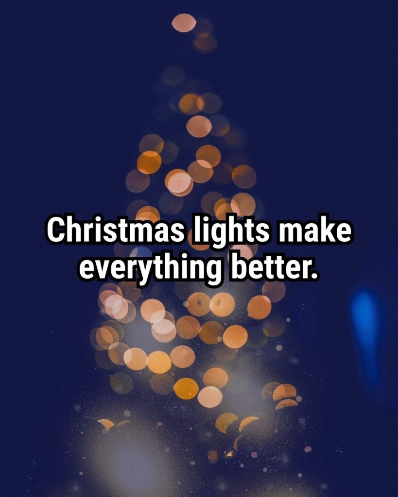 Relatable Christmas Quote: "Christmas lights make everything better."
