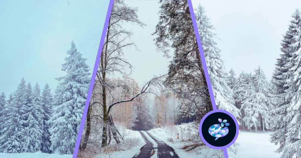 Relatable Winter Quotes