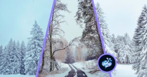 Relatable Winter Quotes